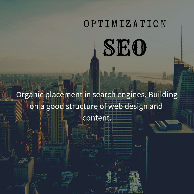 SEO OPTIMIZATION